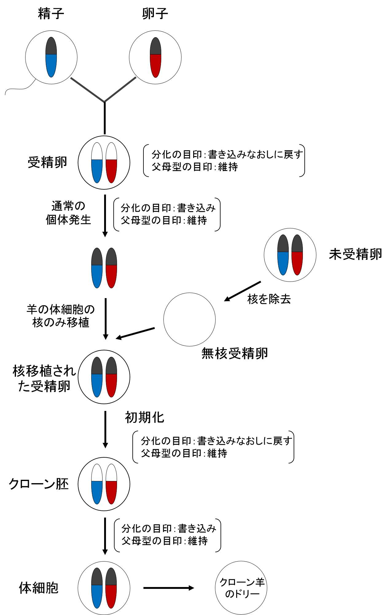 kuron